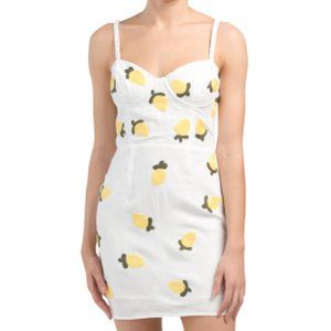 Anthro Red Carter Sleeveless Dress -Used